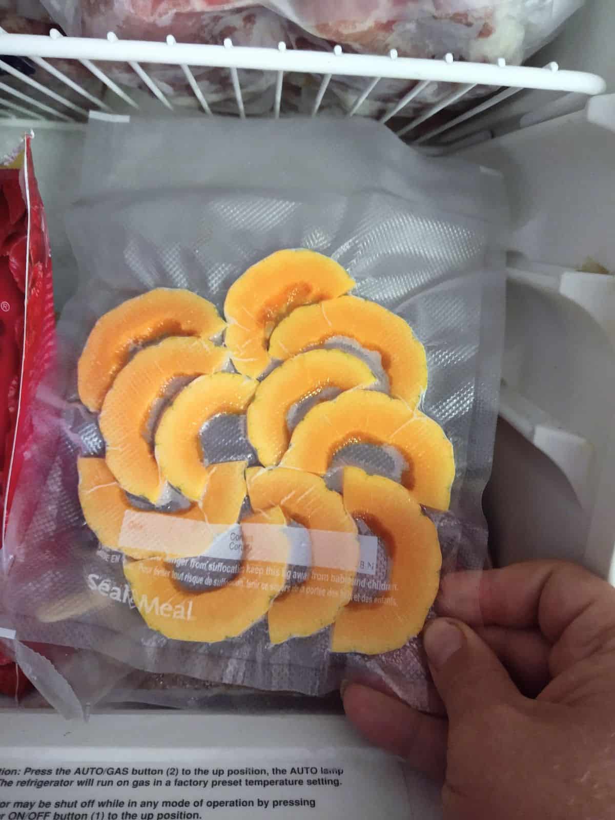 A vacuum sealed bag filled with 11 half moon slices of Delicata squash with the skins still on. The bag is being held upwards in front of an open freezer.
