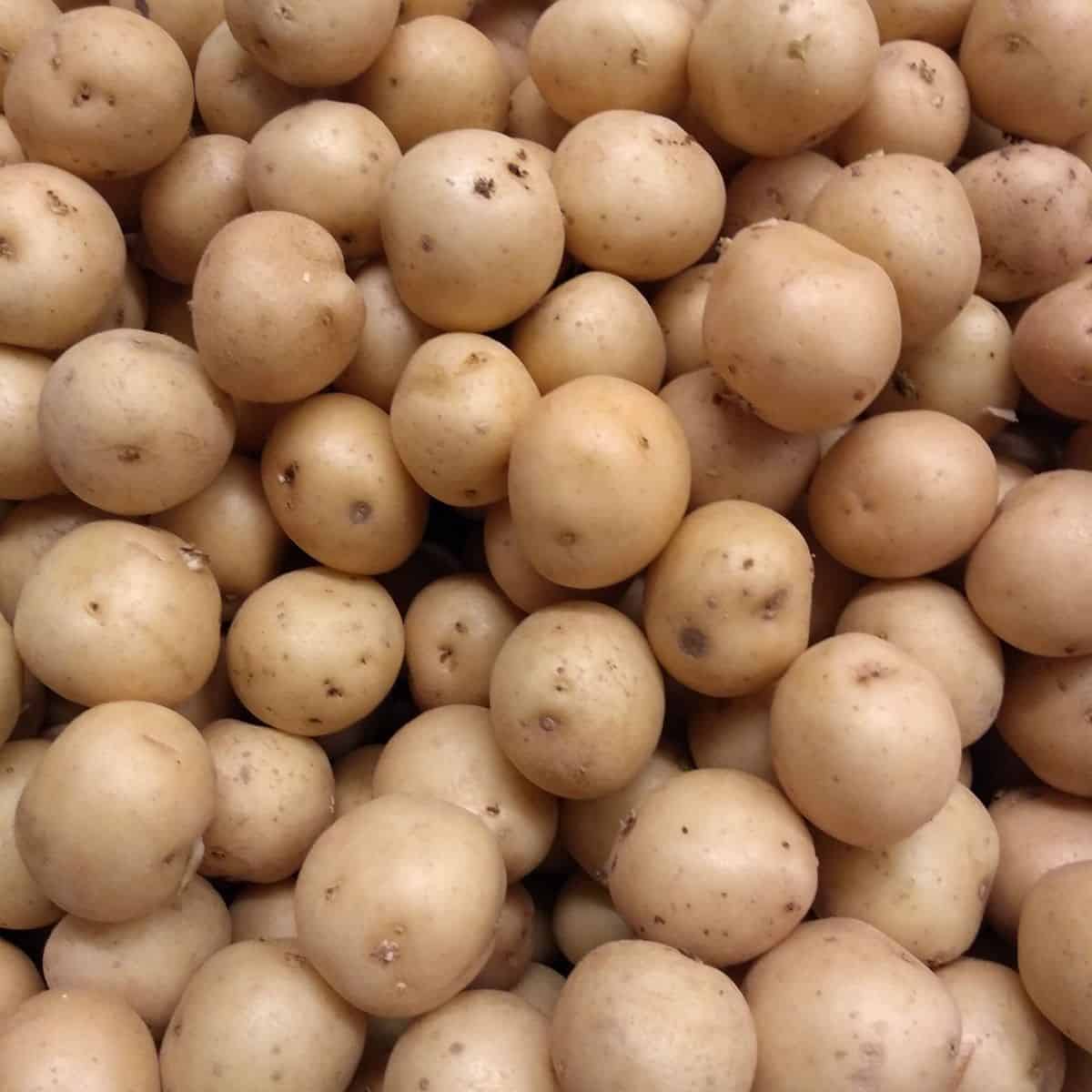 A close up of small light brown colored potatoes.