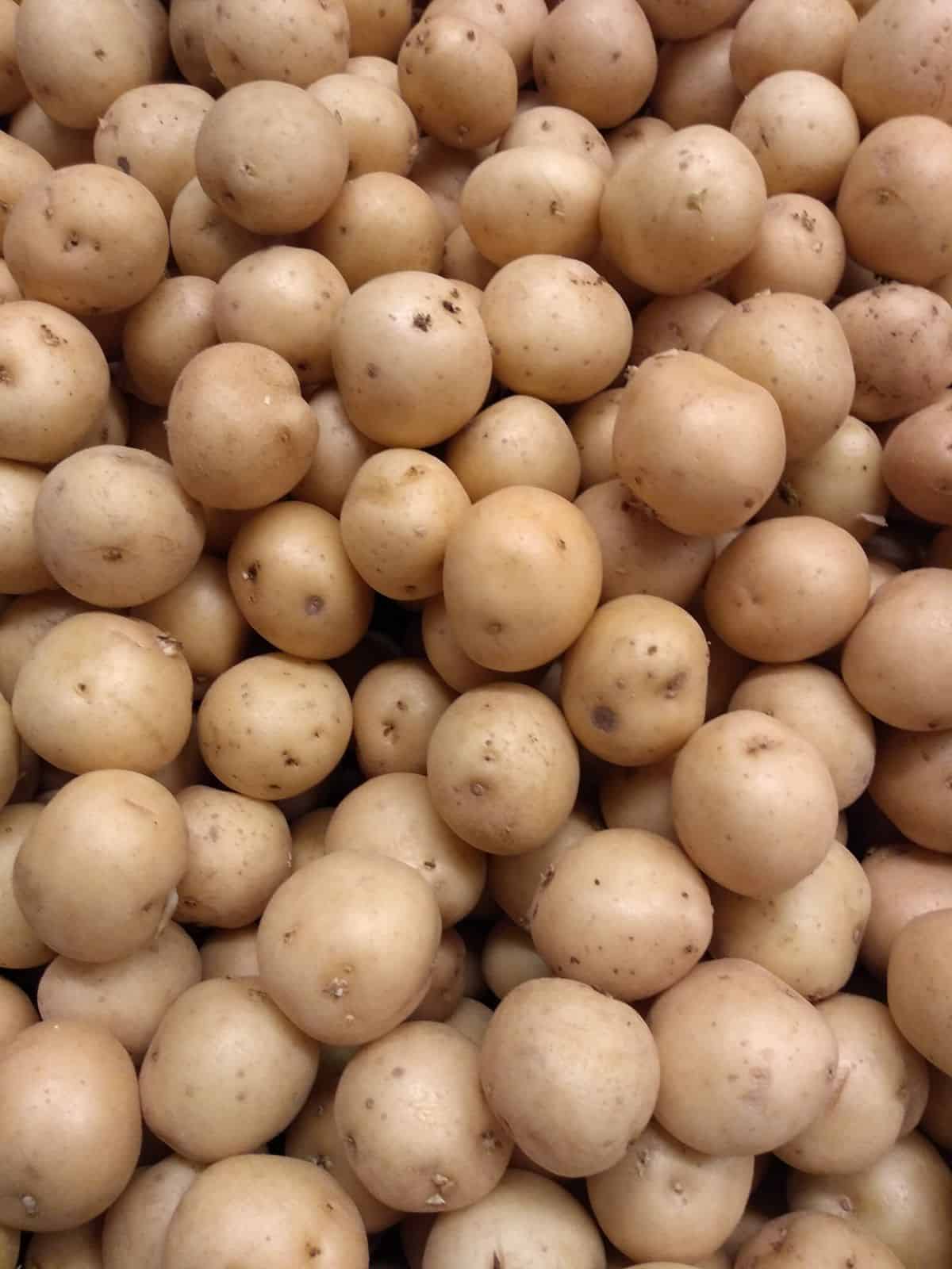 A close up view of small yellow potatoes in a bin at a grocery store