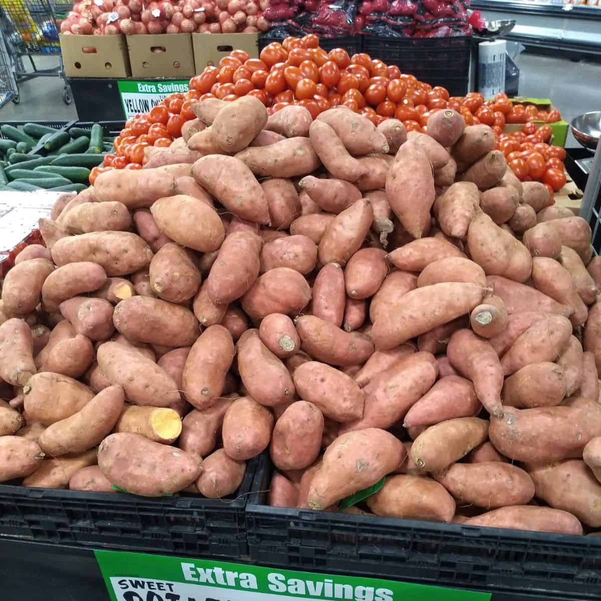 A large grocery store display stocked high with sweet potatoes.