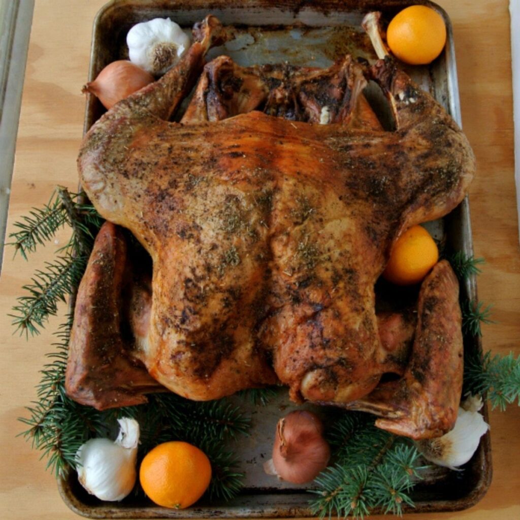 A butterflied turkey sitting on a baking sheet with pine needles ,mandarins, garlic, and shallots surrounding it. 