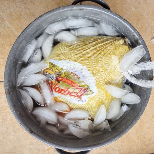 A frozen turkey that is in a large pot filled with ice.