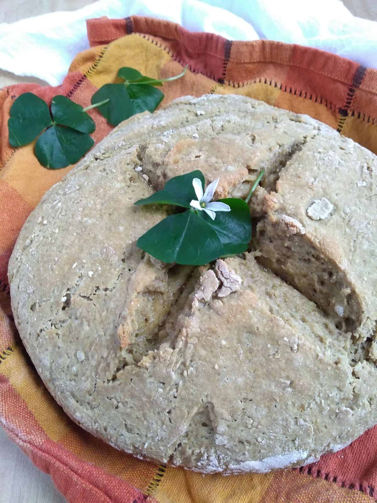 A round loaf of gluten free Irish soda bread with real shamrocks on top of it and surrounding it. The loaf is on a orange plaid towel.