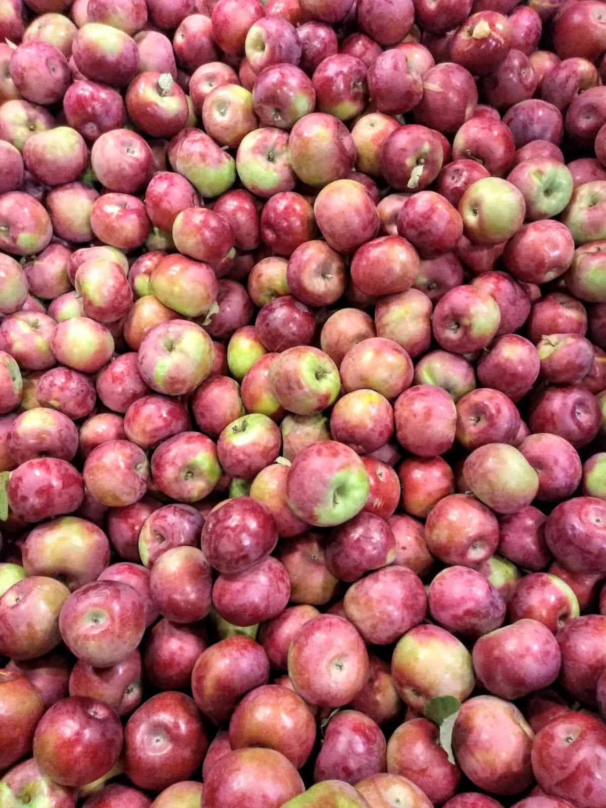 Up close picture of a bin full of McIntosh apples that are red with some green.