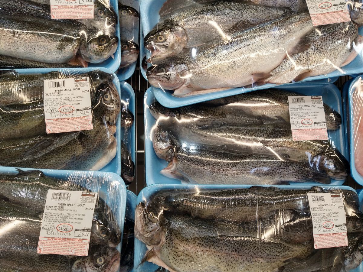 Packaged fresh whole trout at a display at Costco