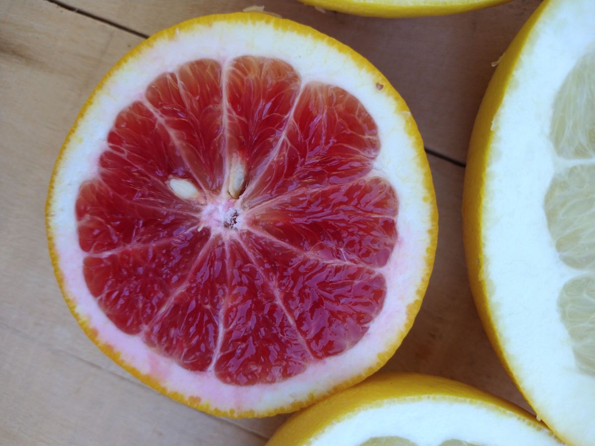 A sliced open red fleshed Valentine pomelo with seeds next to other sliced open pomelos on a wood board.