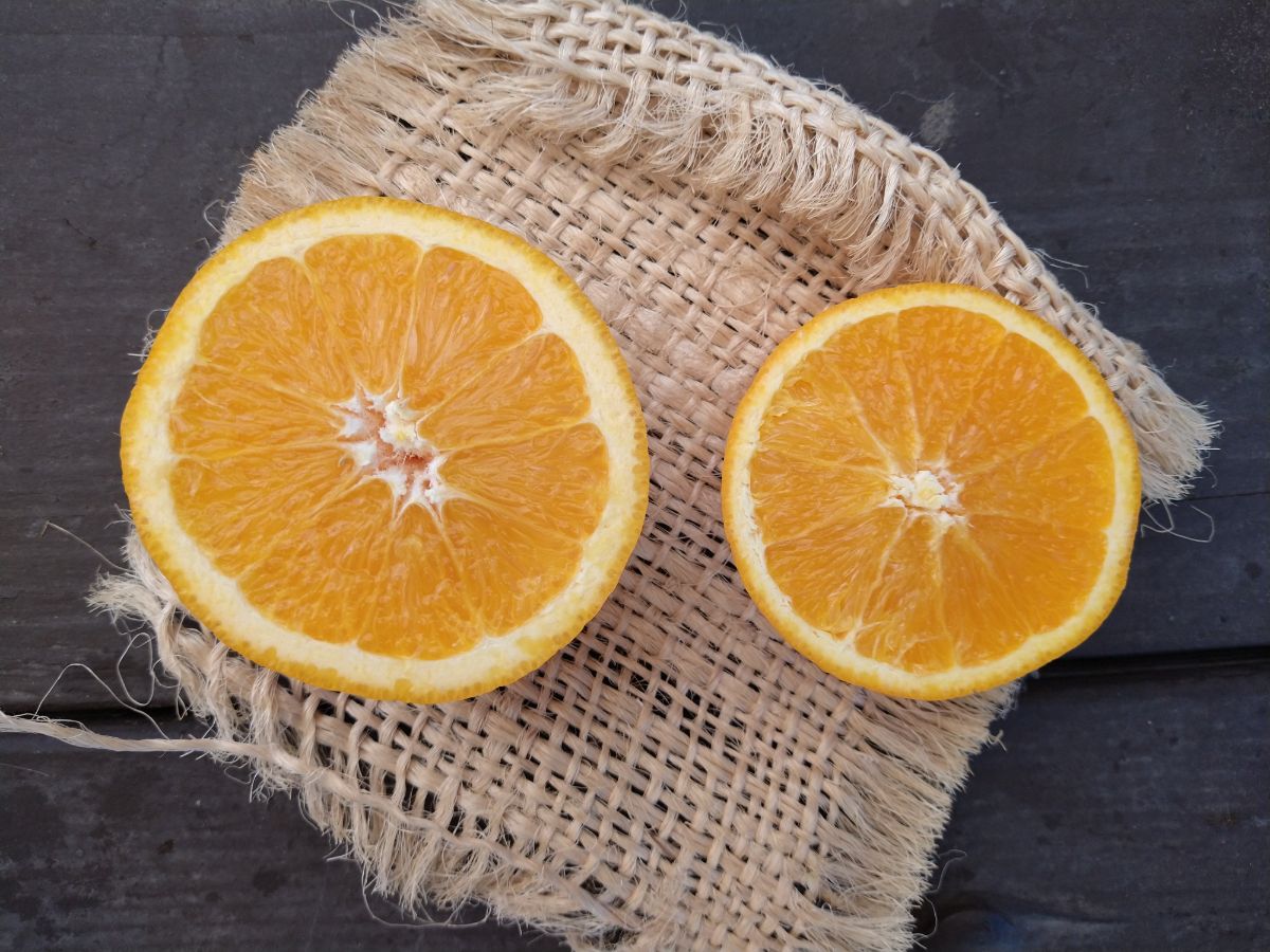 On the left is a half of a regular navel orange and on the right a half of a heirloom navel orange. Both are sitting on a piece of burlap on a dark wood picnic table
