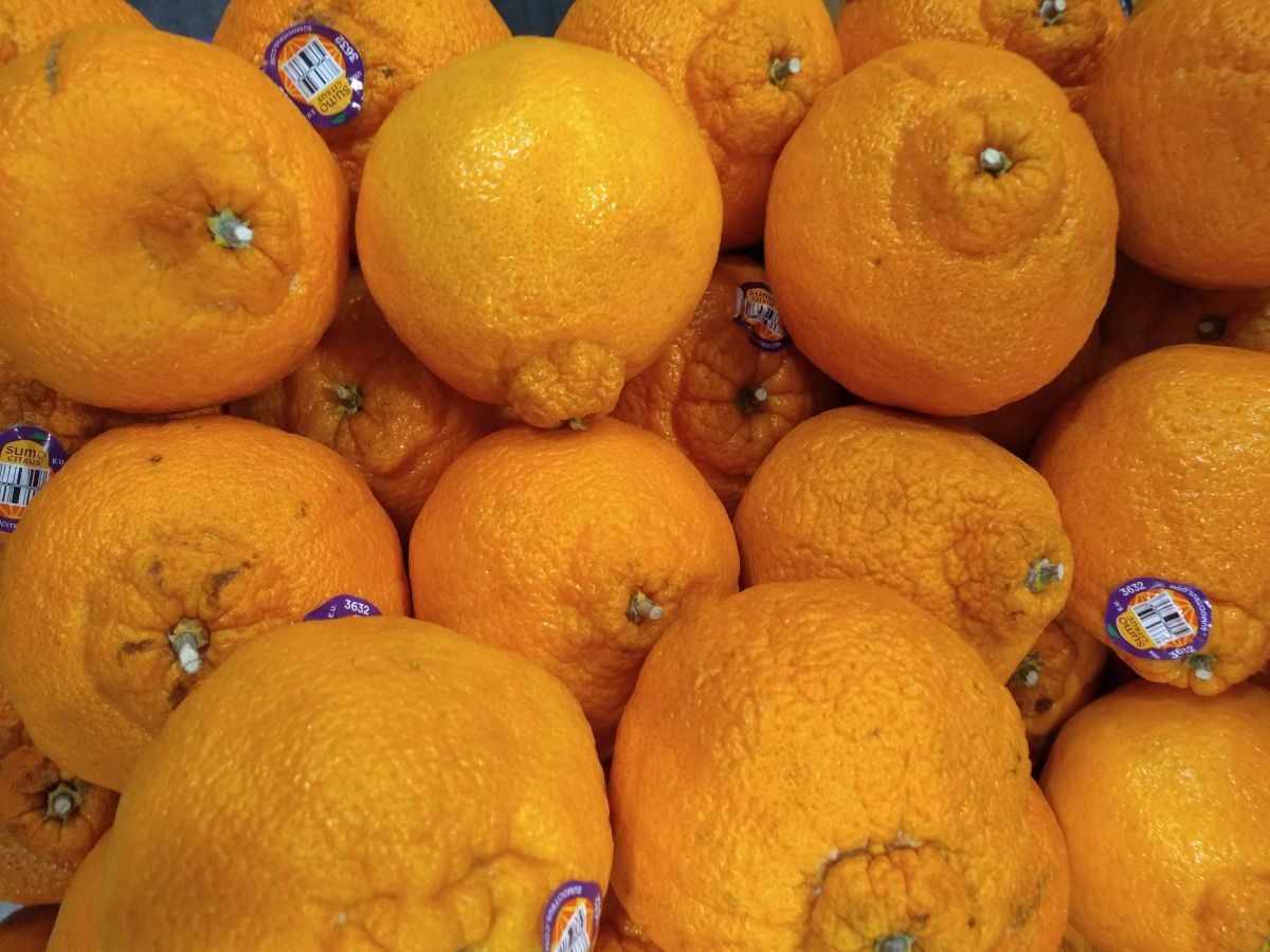 Sumo Citrus Mandarins [Where to Buy] - Eat Like No One Else