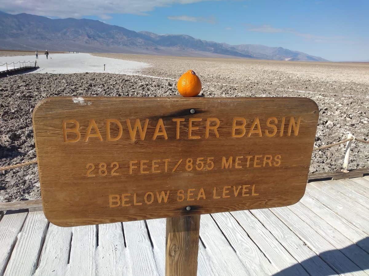 A Sumo Citrus mandarin sitting on a wood sign in Death Valley. The sign says Badwater Basin, 282 feet below sea level.