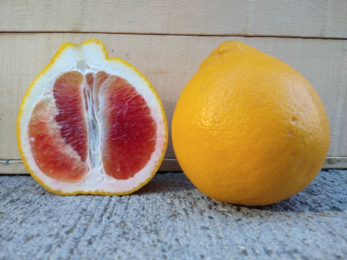 A cut in half red fleshed Valentine Pomelo next to a whole Valentine pomelo in front of a wood tray.