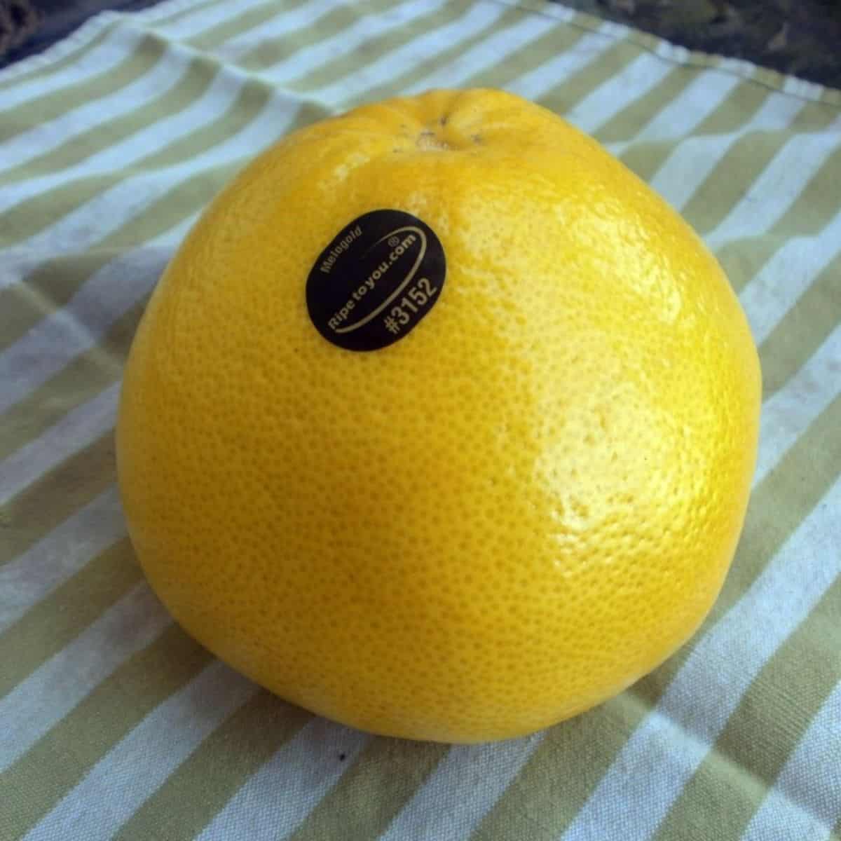 A yellow Melogold grape fruit with a Ripe to You black PLU sticker on it, sitting on a green and white strip towel.