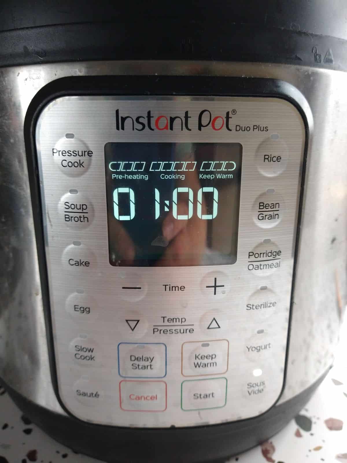 The Instant Pot Duo Plus set to 1 hour for sous vide cooking.