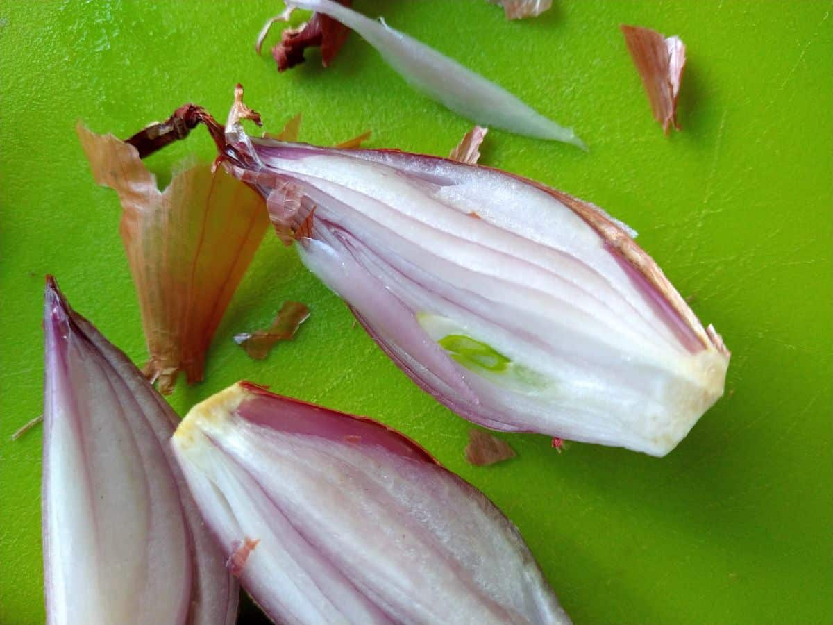 Shallots have have been cut into quarters. You can see the inside of the shallot where it's being to sprout, so it has a green section inside. The shallots are sitting on a green plastic cutting board.