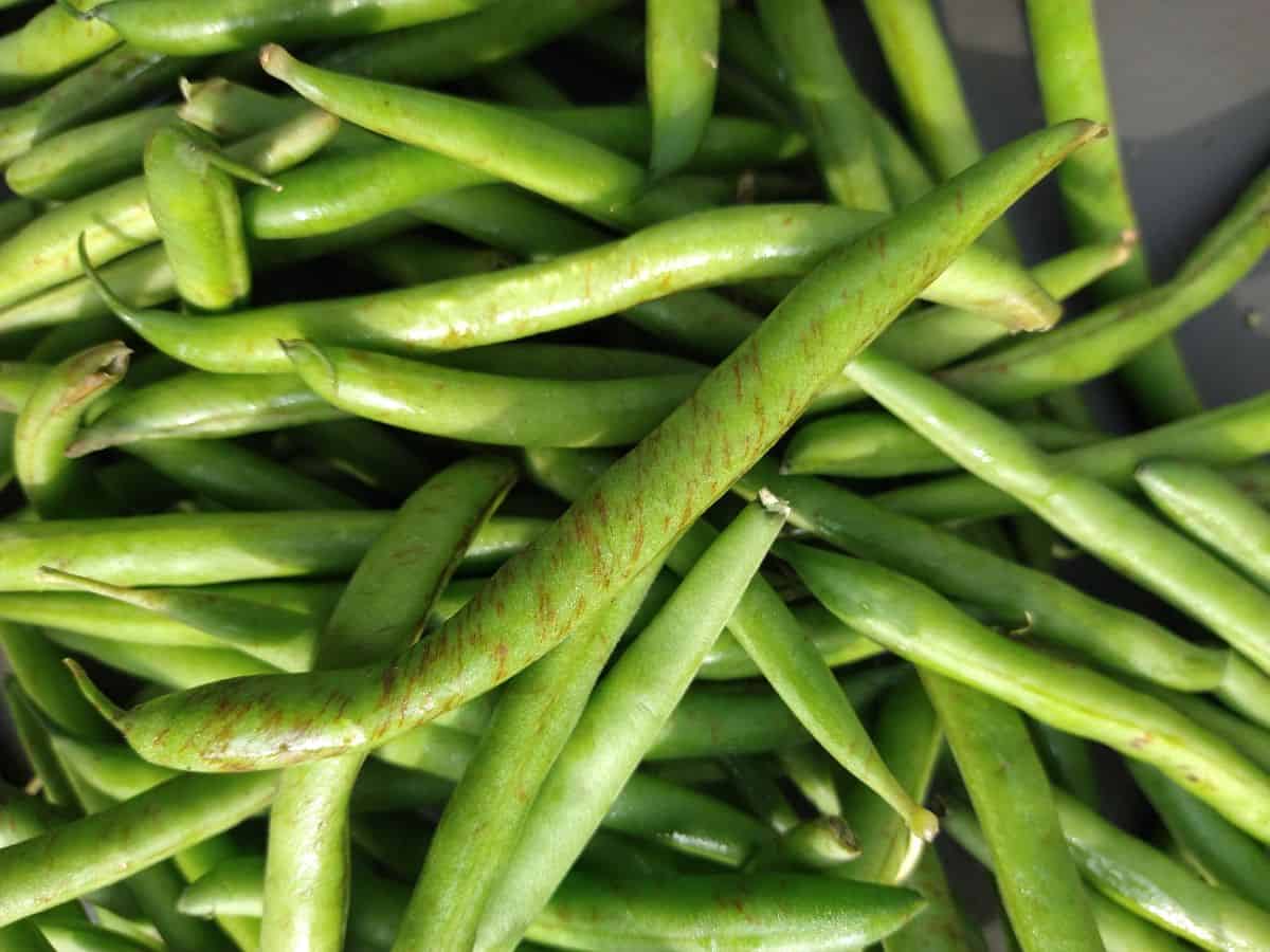 Green beans that have brown streaks on the outside. 