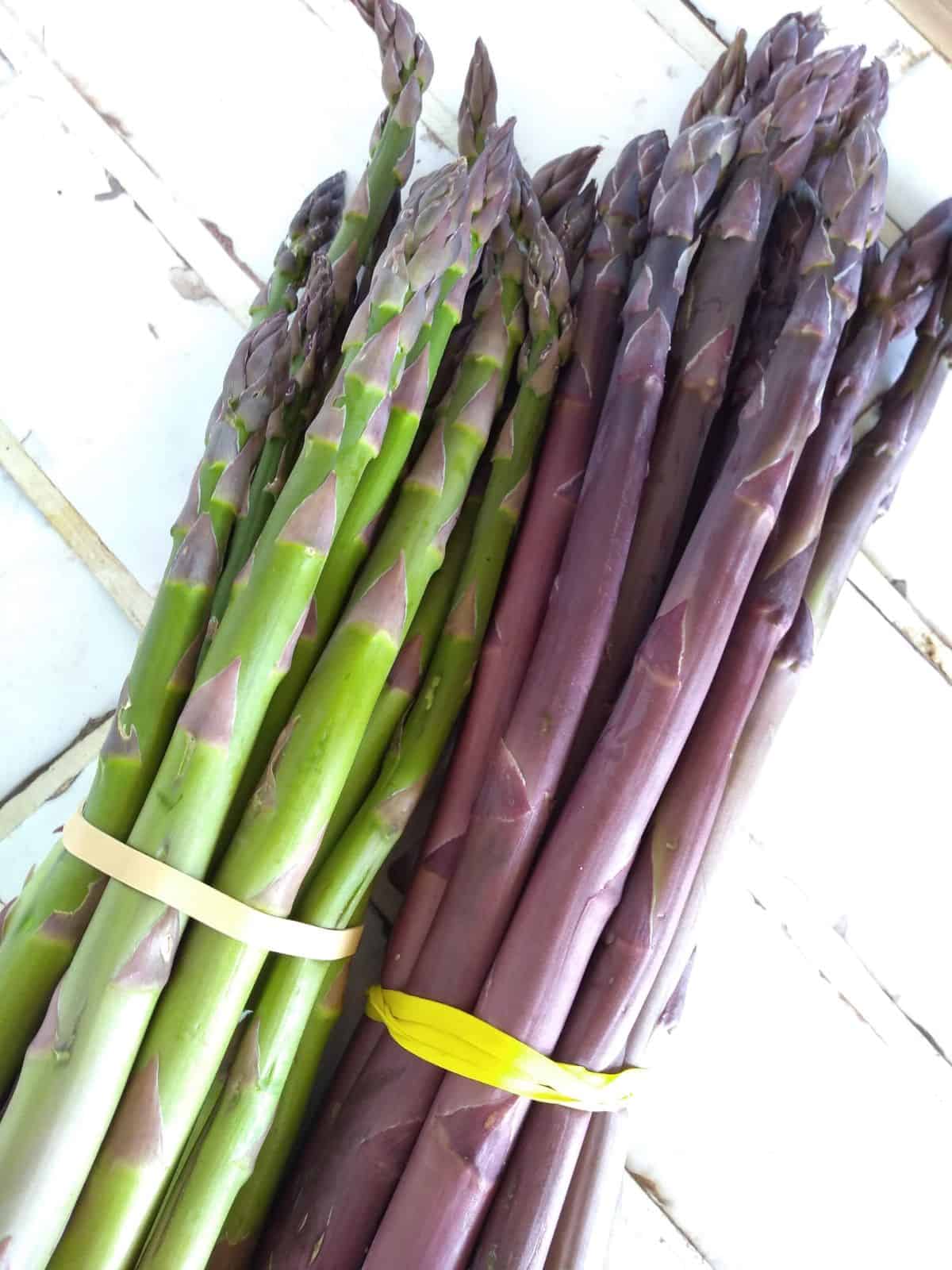 A bunch of green asparagus next to a bunch of purple asparagus on a white tile counter top.