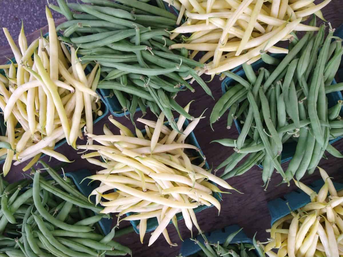 Green and yellow wax beans in containers on a table at a farmer's market