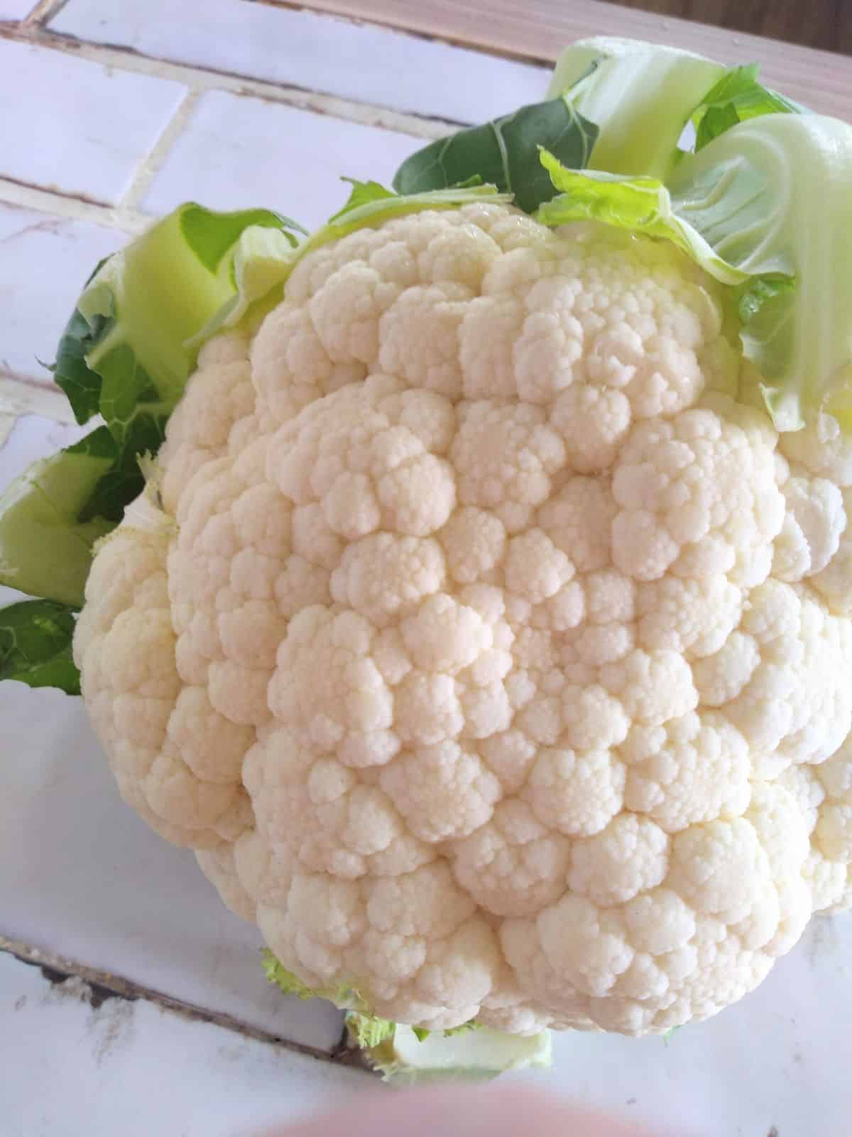 A head of white cauliflower sitting on a white tile countertop. 