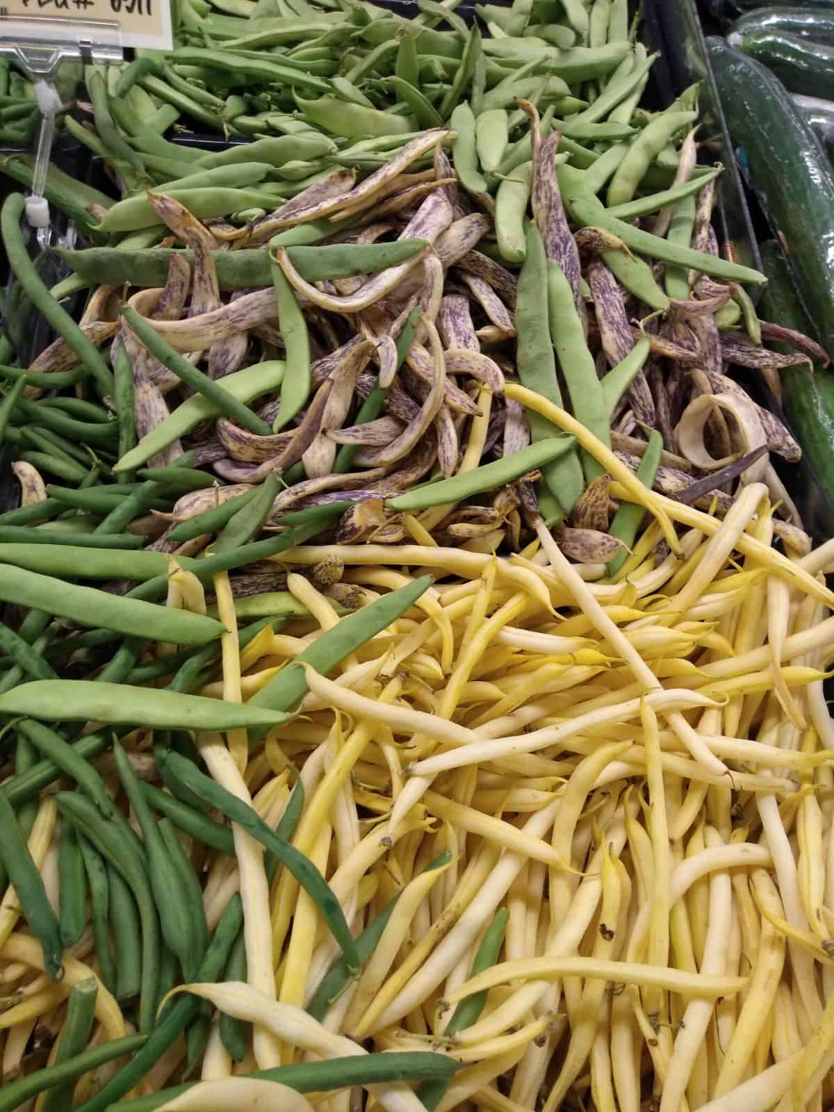 A display at a grocery store mixed with green beans, flat Italian green beans, yellow wax beans, and Dragon's tongue beans that are yellow with purple streaks 