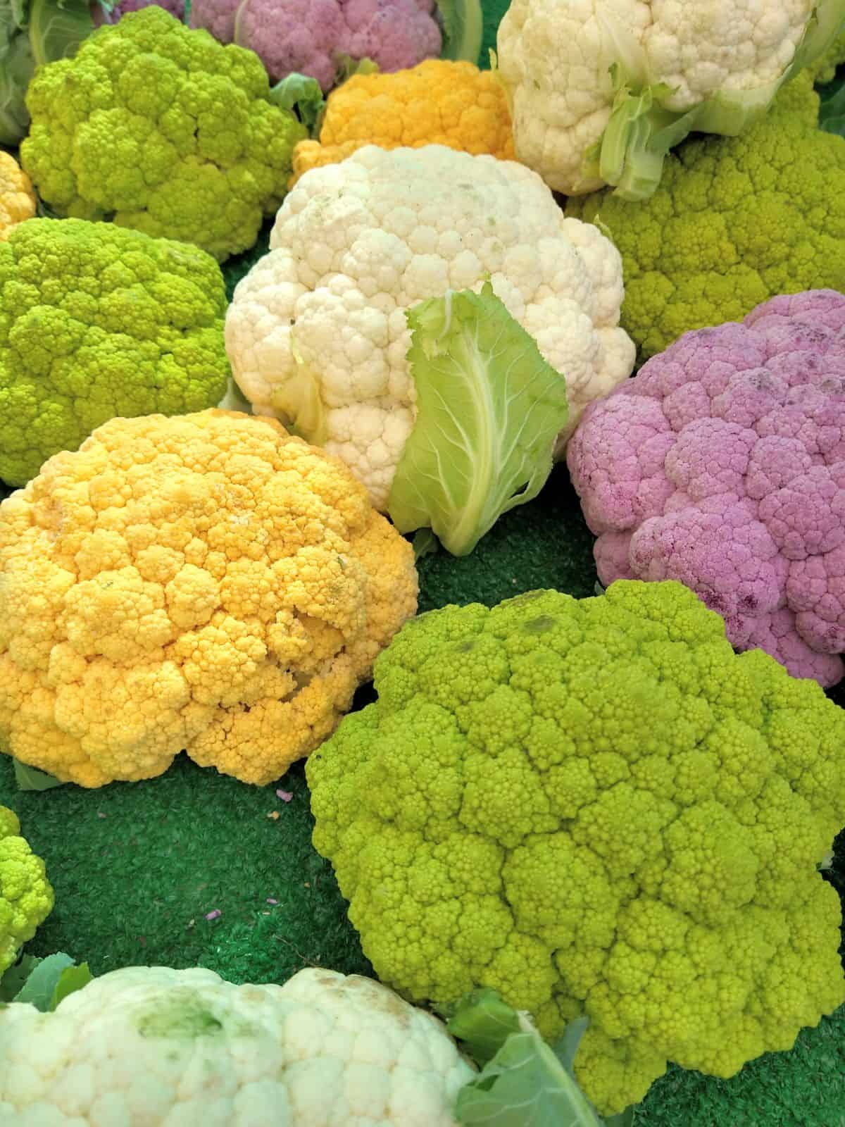 A farm market display with white, yellow, green, and purple cauliflower.