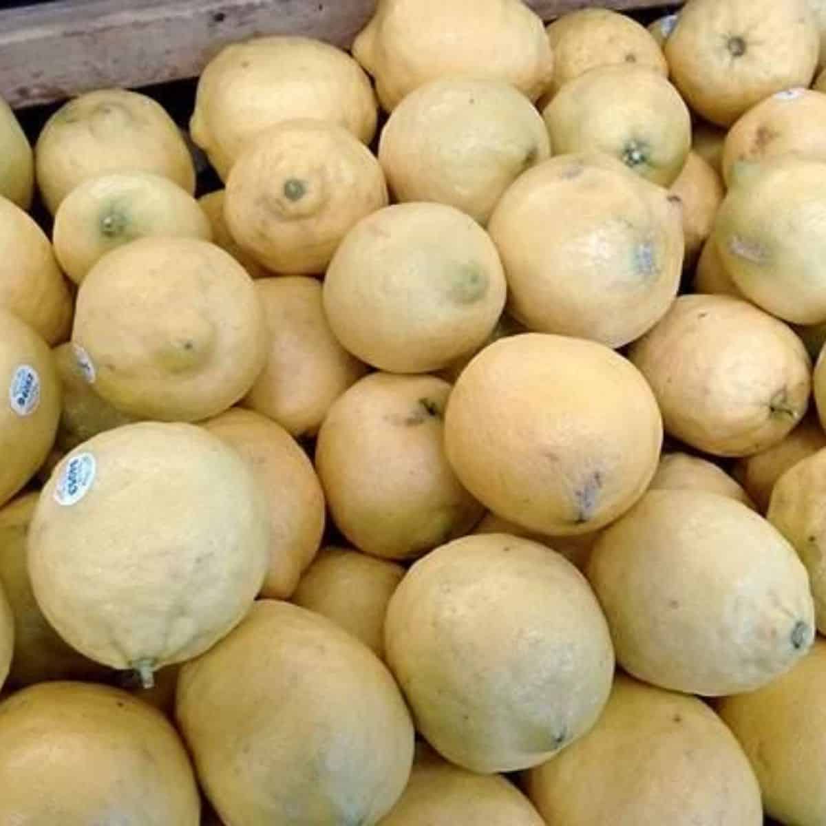 A display of lemons at the grocery store.