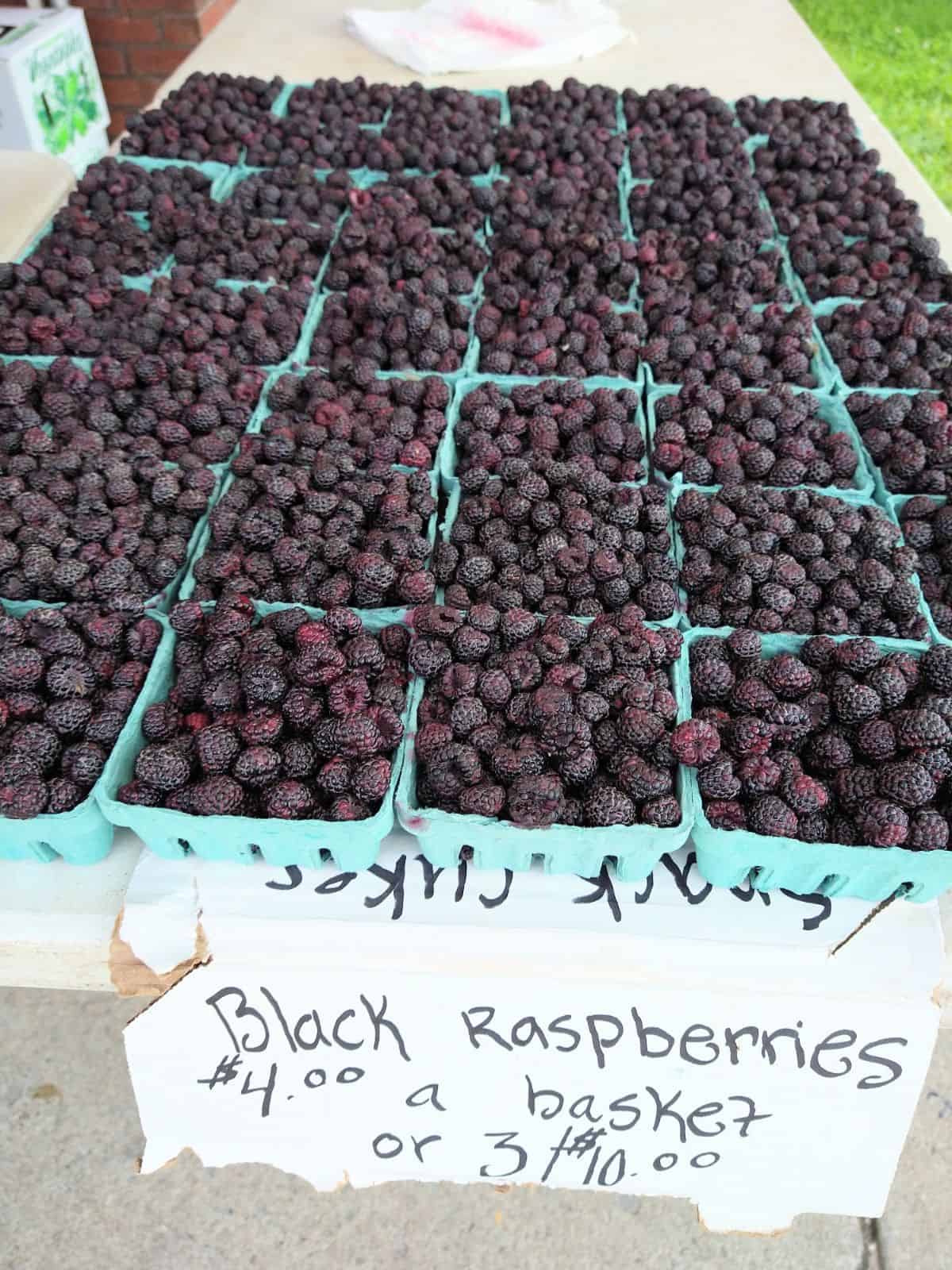 Black raspberries on display on a table at a farmers market.