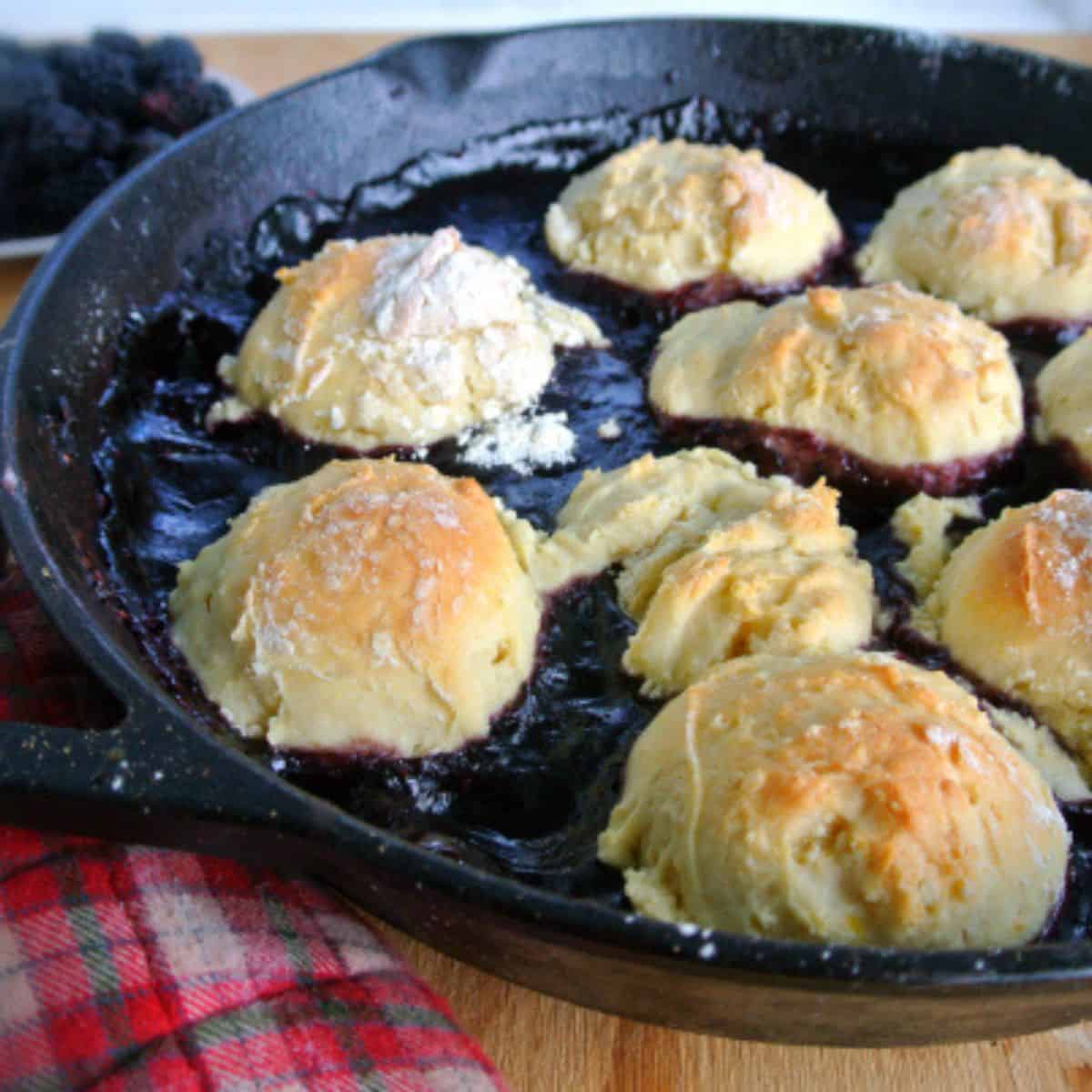 A Blackberry grunt dessert (blackberry filling with biscuits on top) in a cast iron pan.