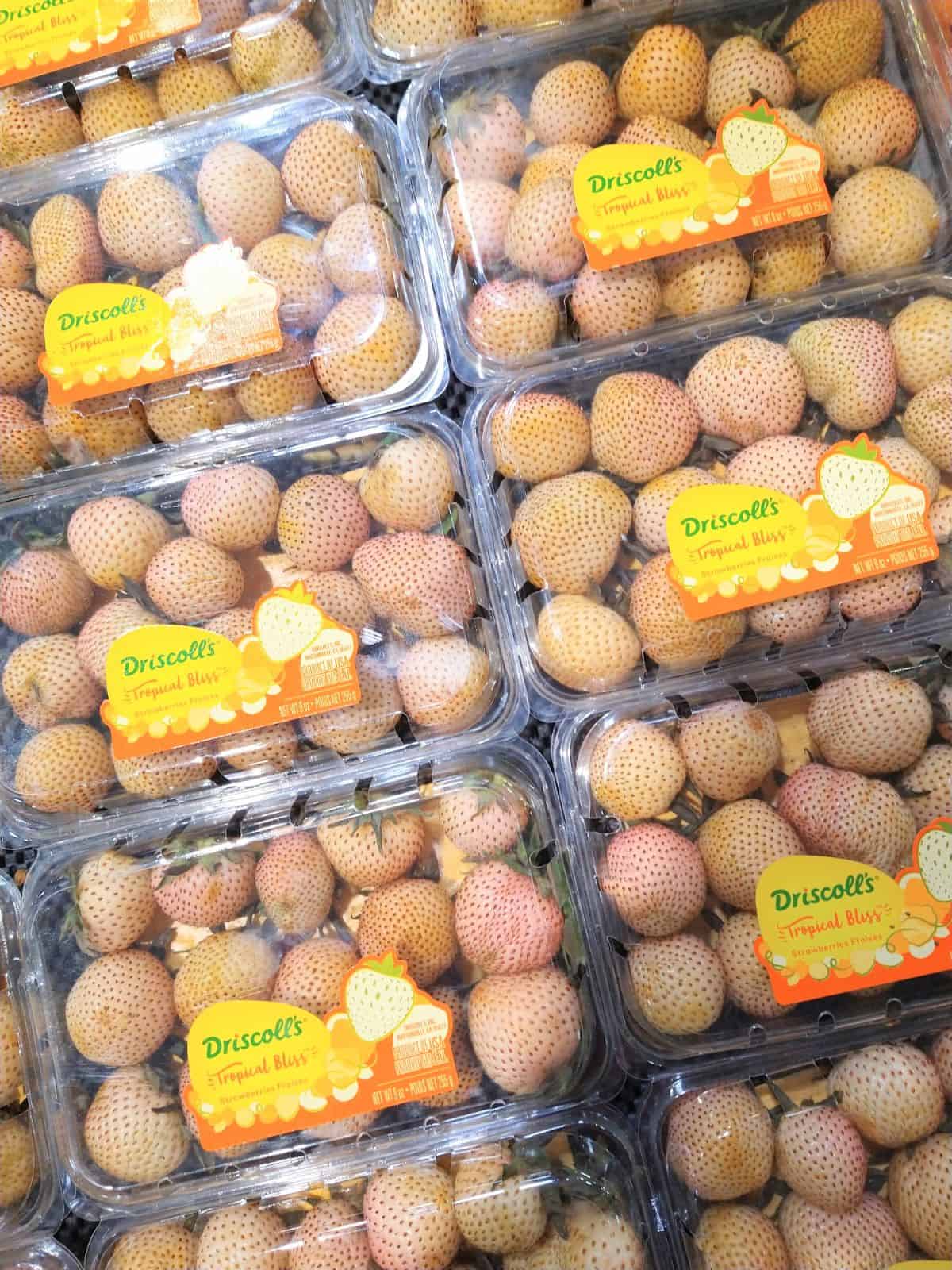 What are Tropical Bliss Strawberries? Eat Like No One Else