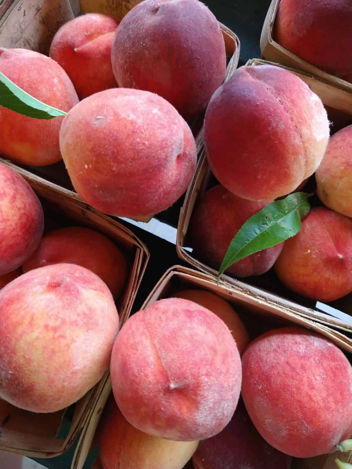 Wood containers of Rising Star peaches at a farmer's market. 