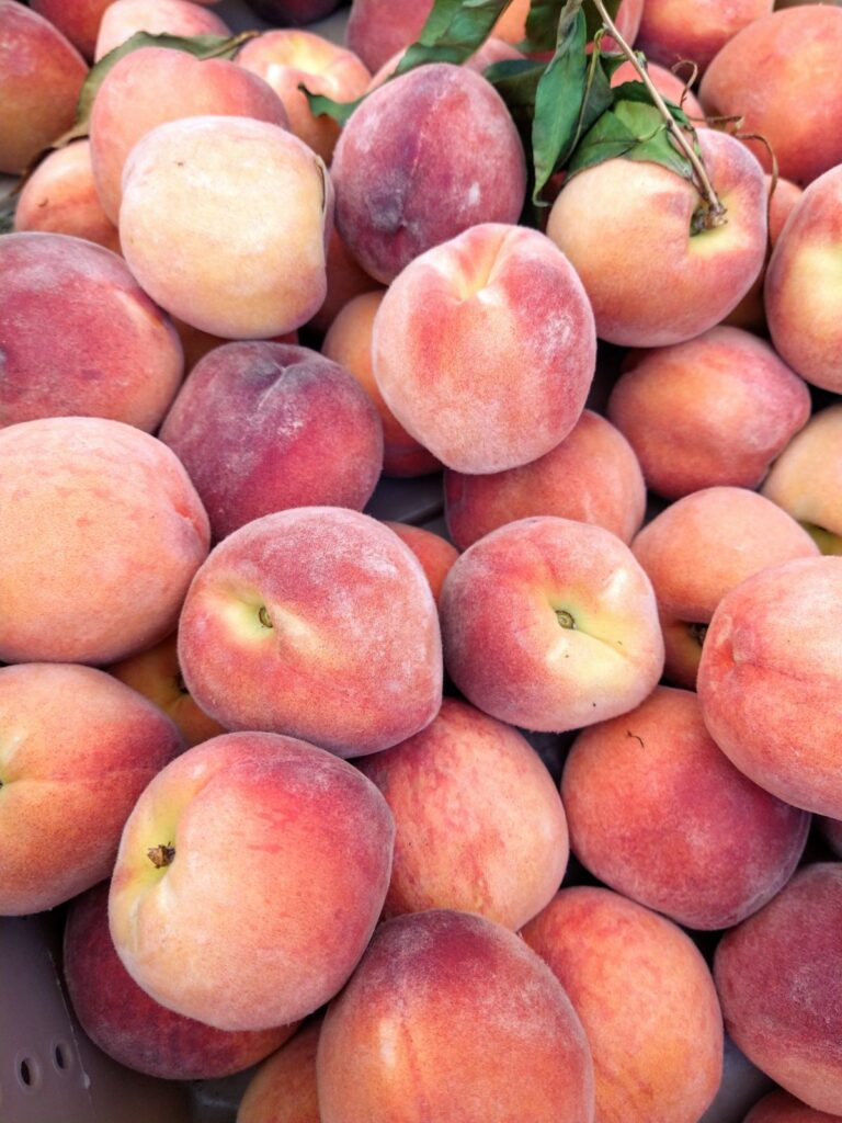 When are Peaches in Season by State? Eat Like No One Else
