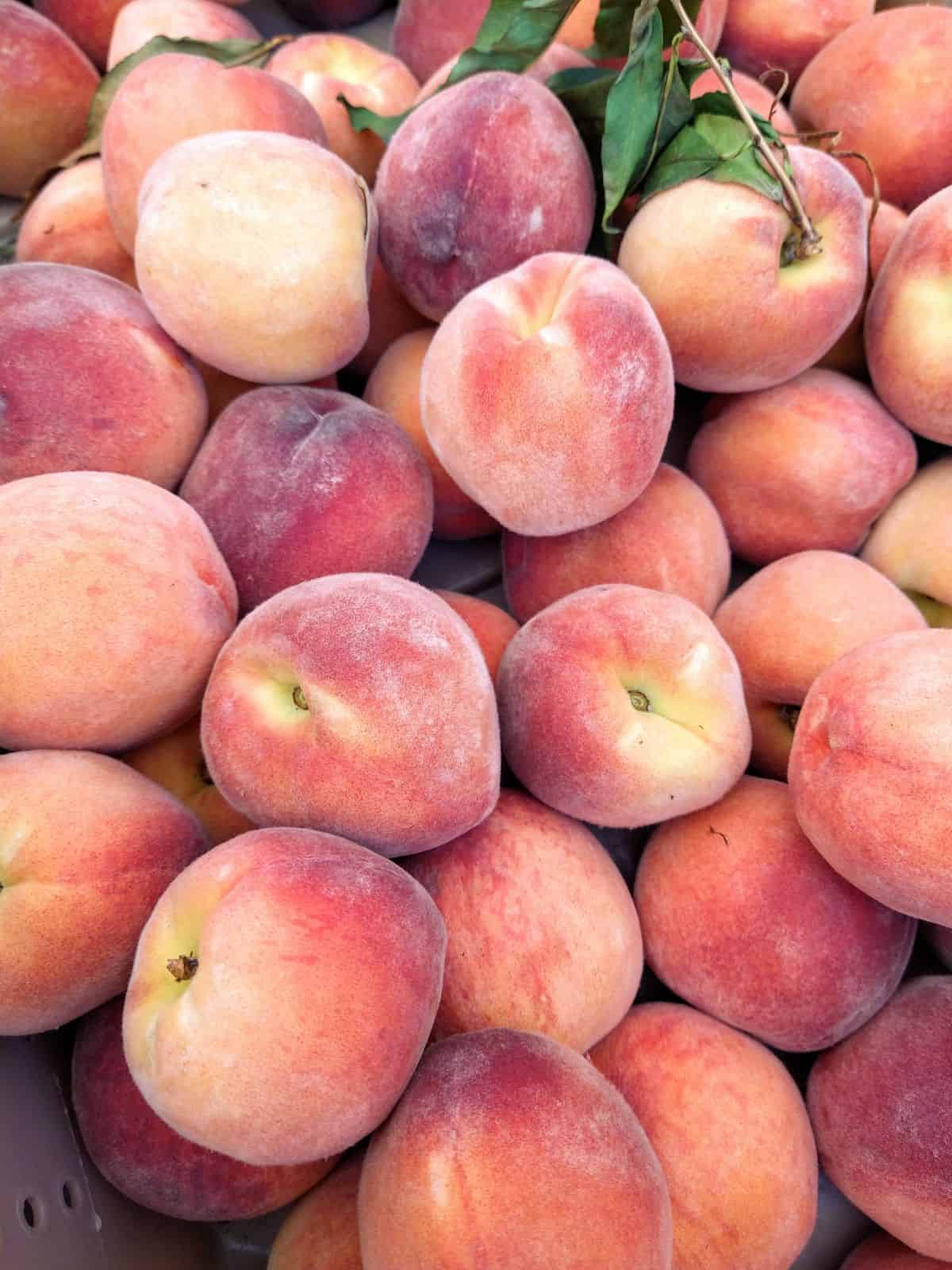 A close up of peaches with colors of yellow, red, and orange in the skin. Some peaches still have green leaves attached.