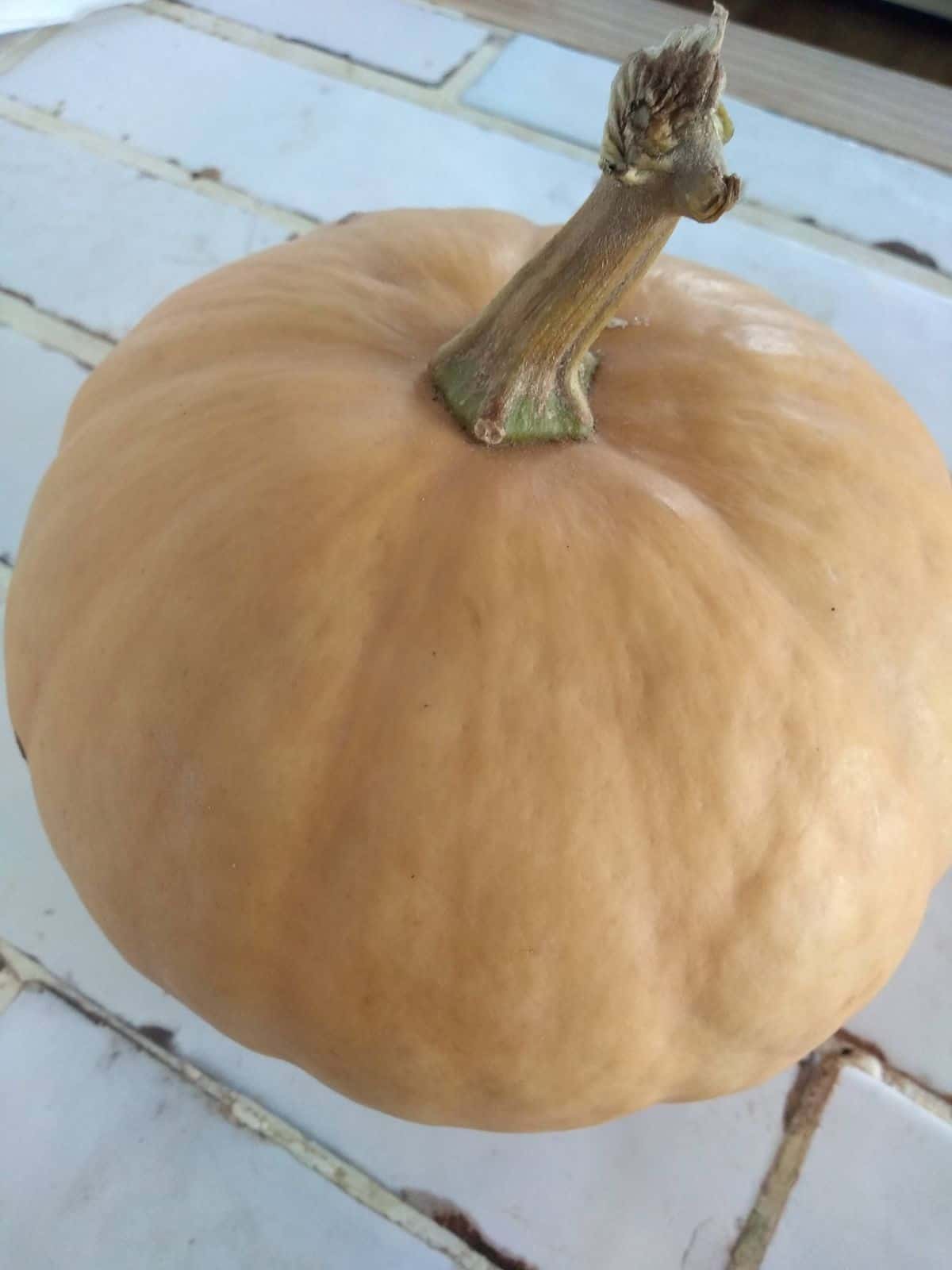 A Long Island Cheese pumpkin sitting on a white tile countertop.