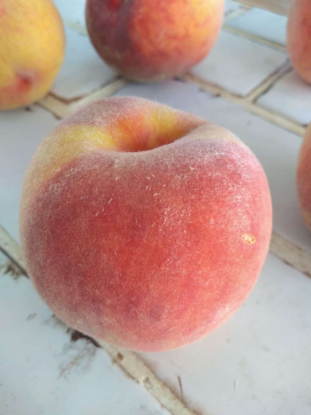 A red skinned peach with light fuzz sitting on a white tile counter top with more peaches in the background.