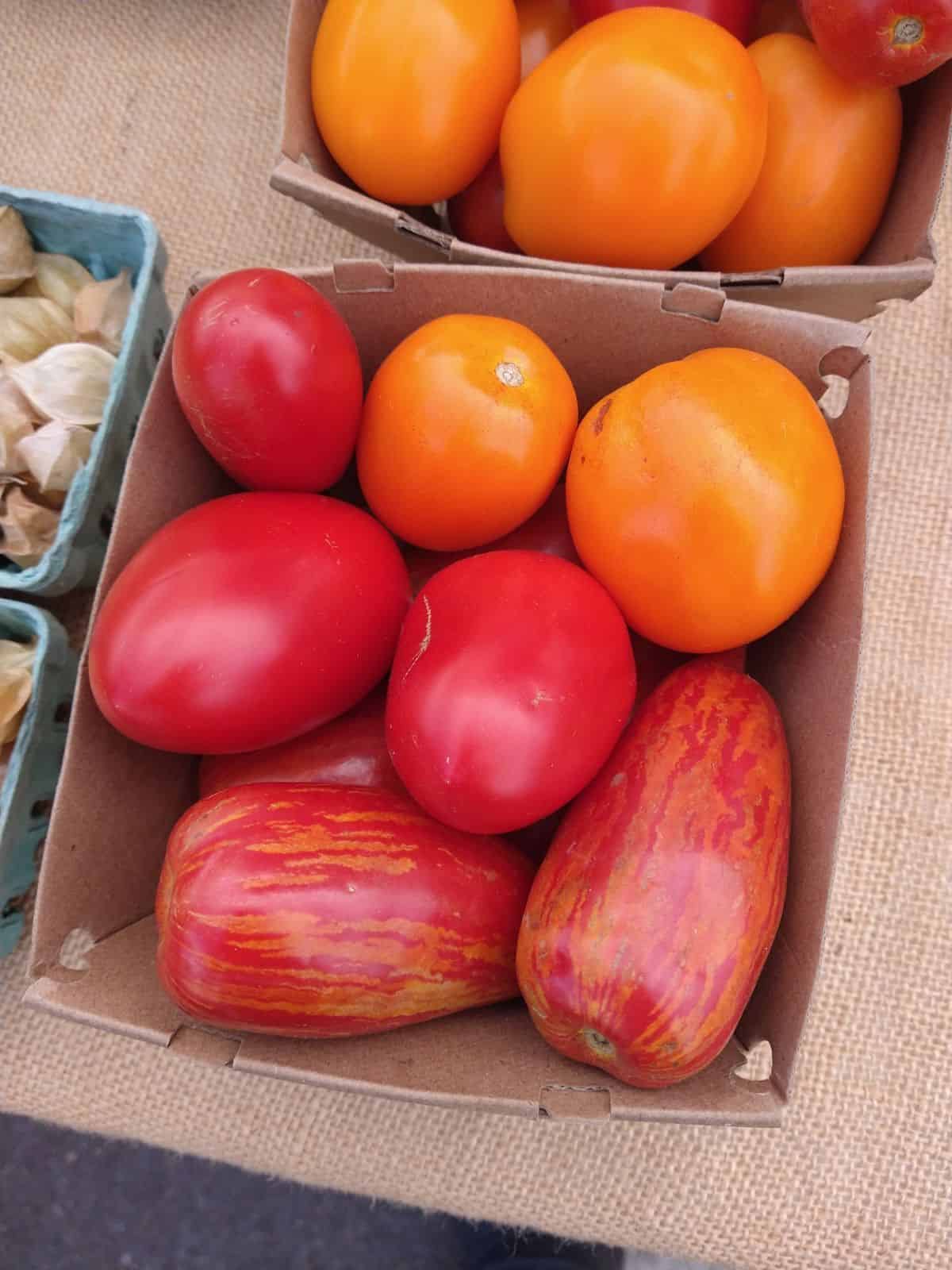 Small wood boxes of red and orange colored tomatoes