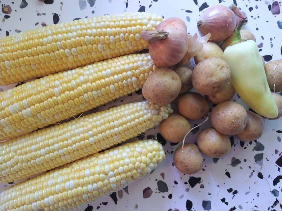 Corn on the cob with the husk removed on a table with small potatoes, shallots, and a light yellowed colored hot pepper.