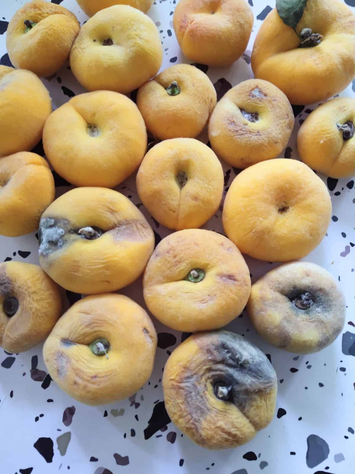 Yellow donut peaches that have wrinkles on them. Some of the wrinkles have turned into mold. 