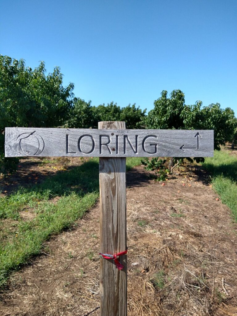 A sign at an orchard that says "Loring".