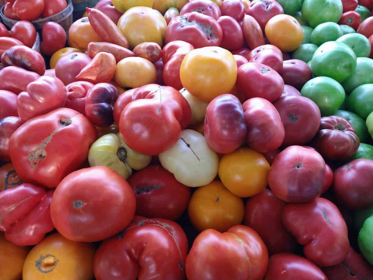 Different colored heirloom tomatoes pilled up at a farmer's market.