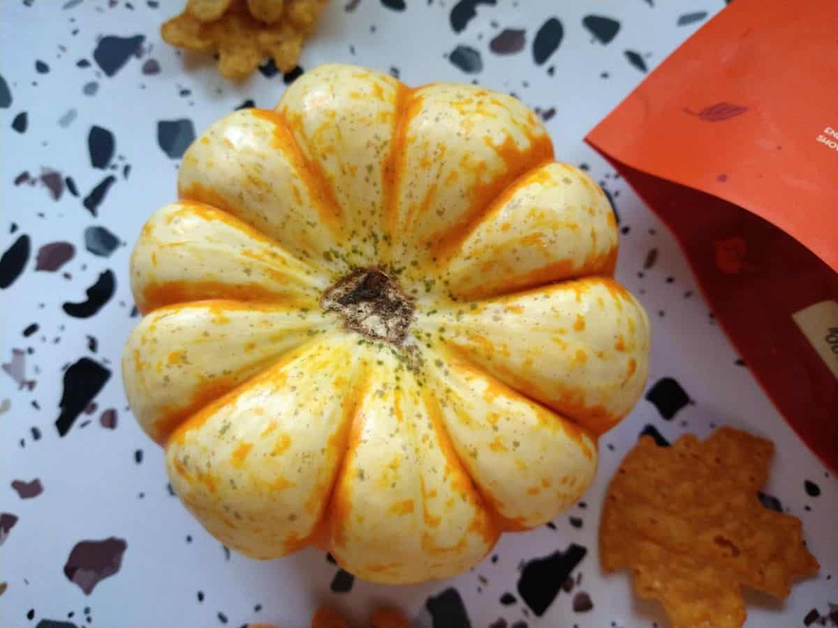 A single Tiger Strip pumpkin sitting on a white table with spots. 