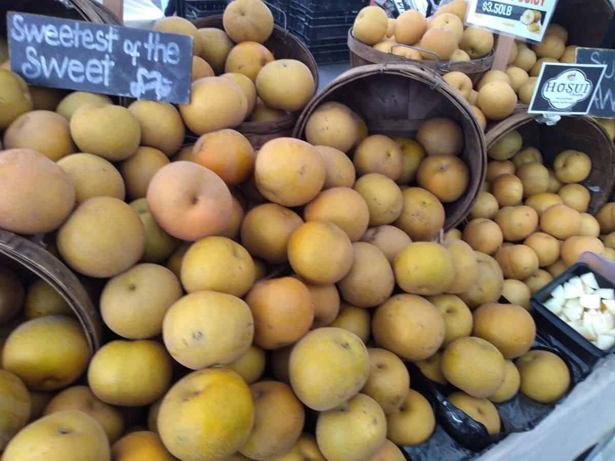 A display of brown Asian pears at a farmers market. The pears are arranged in baskets with a sample box available.