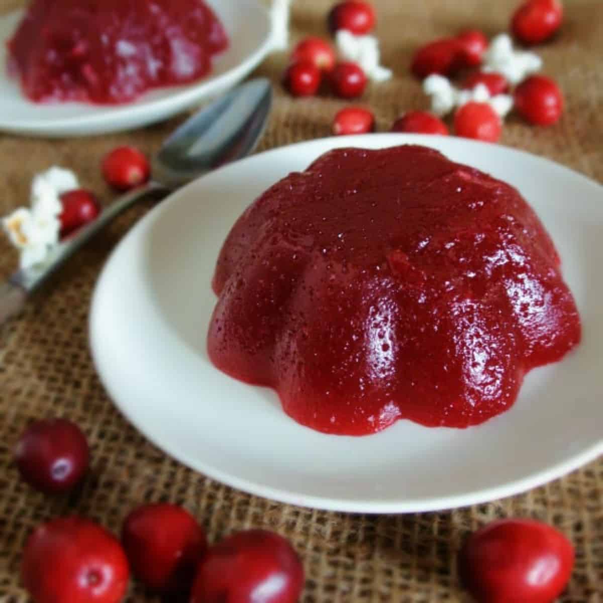 Jellied cranberry sauce on a white plate on top of burlap with fresh cranberries and popcorn.