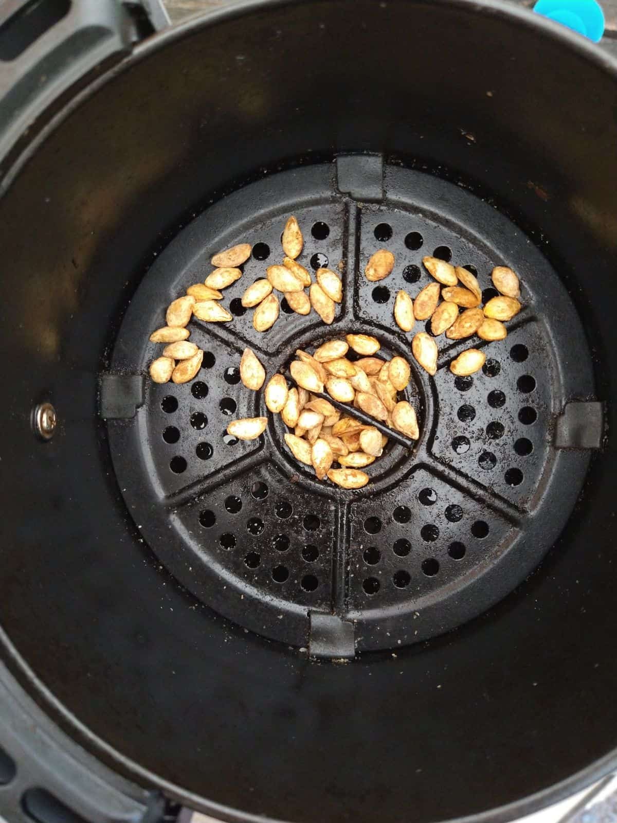 Honeynut squash seeds that have been cooked in the air fryer.