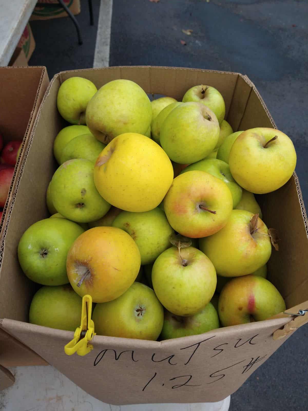 A cardboard box of some green and some yellow Mutsu apples marked at $1.25/lb.