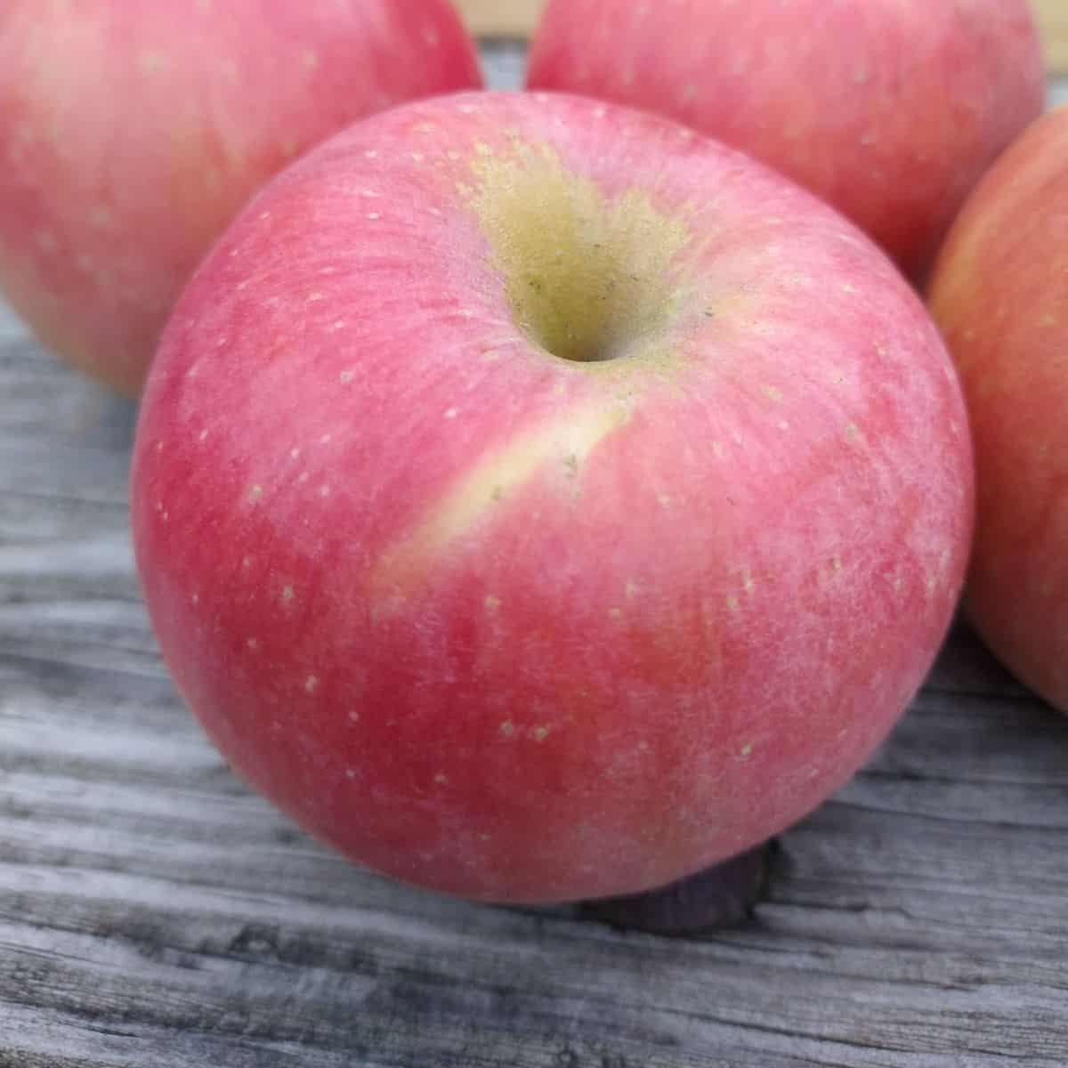 Rosalee apples on a wood picnic table.