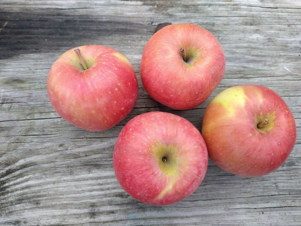 An overhead view of Pinkish colored Rosalee apples sitting on a wood picnic table.