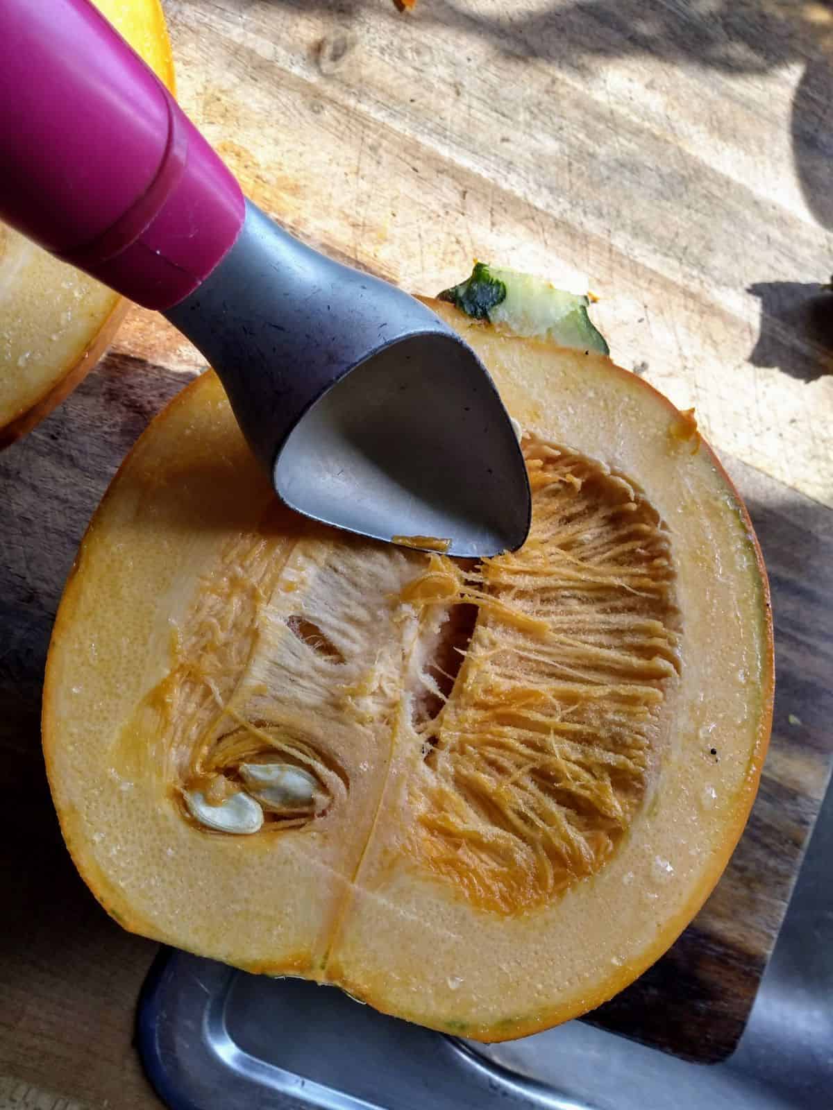 An ice cream scoop that is about to scoop out the seeds of a pie pumpkin.