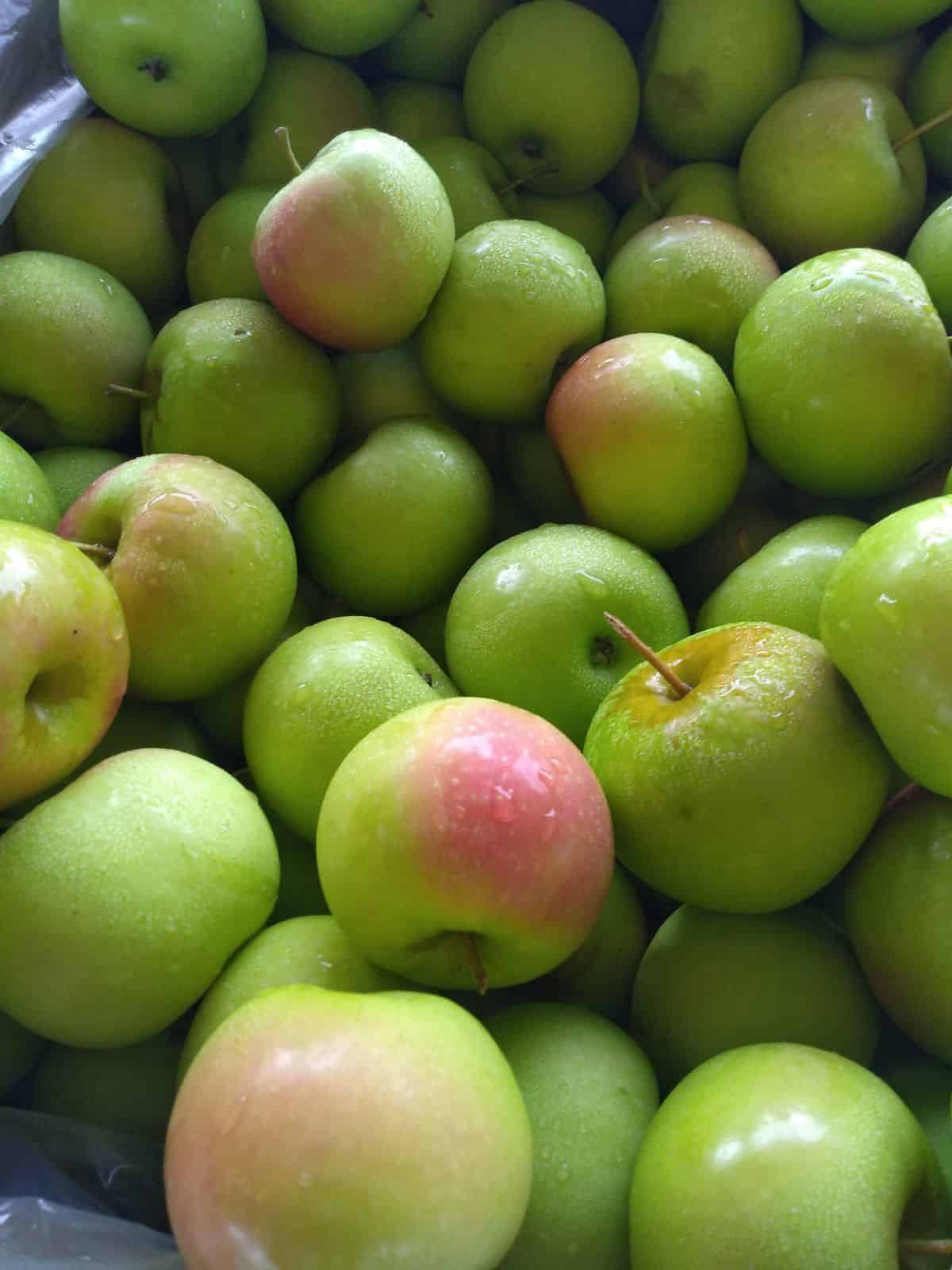 A close up of green Shamrock apples in a bin. Some of the apples have red blush on them.