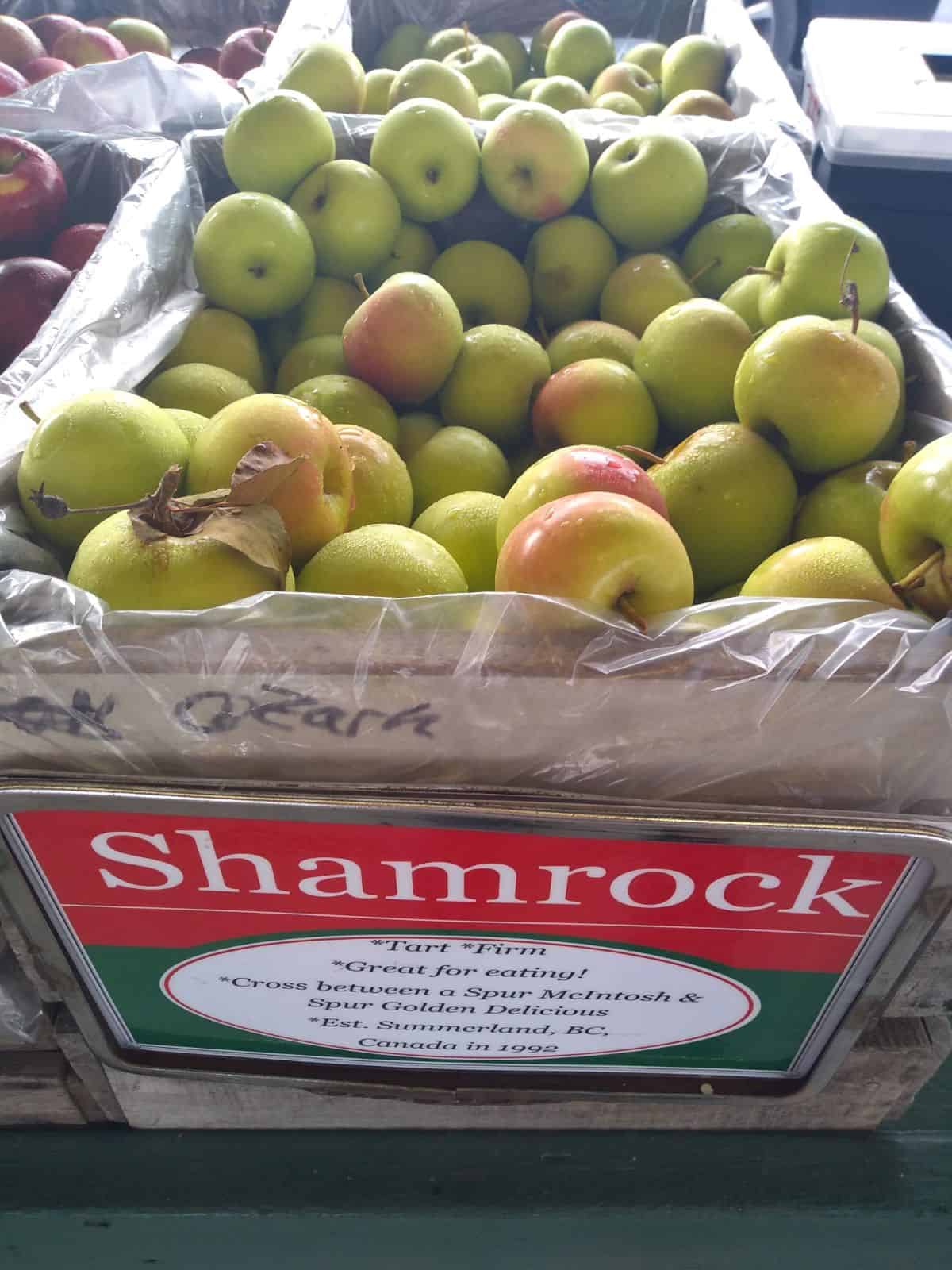 A bushel wood basket with Shamrock apples with a red and green sign.