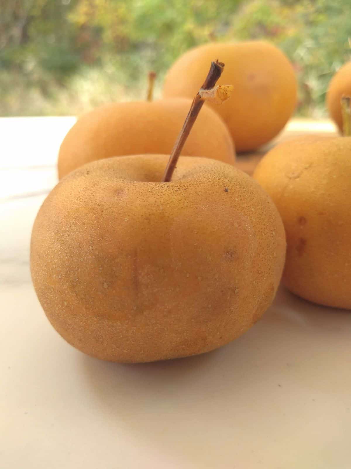 A close up view of the side of some Asian pears sitting on a white surface.