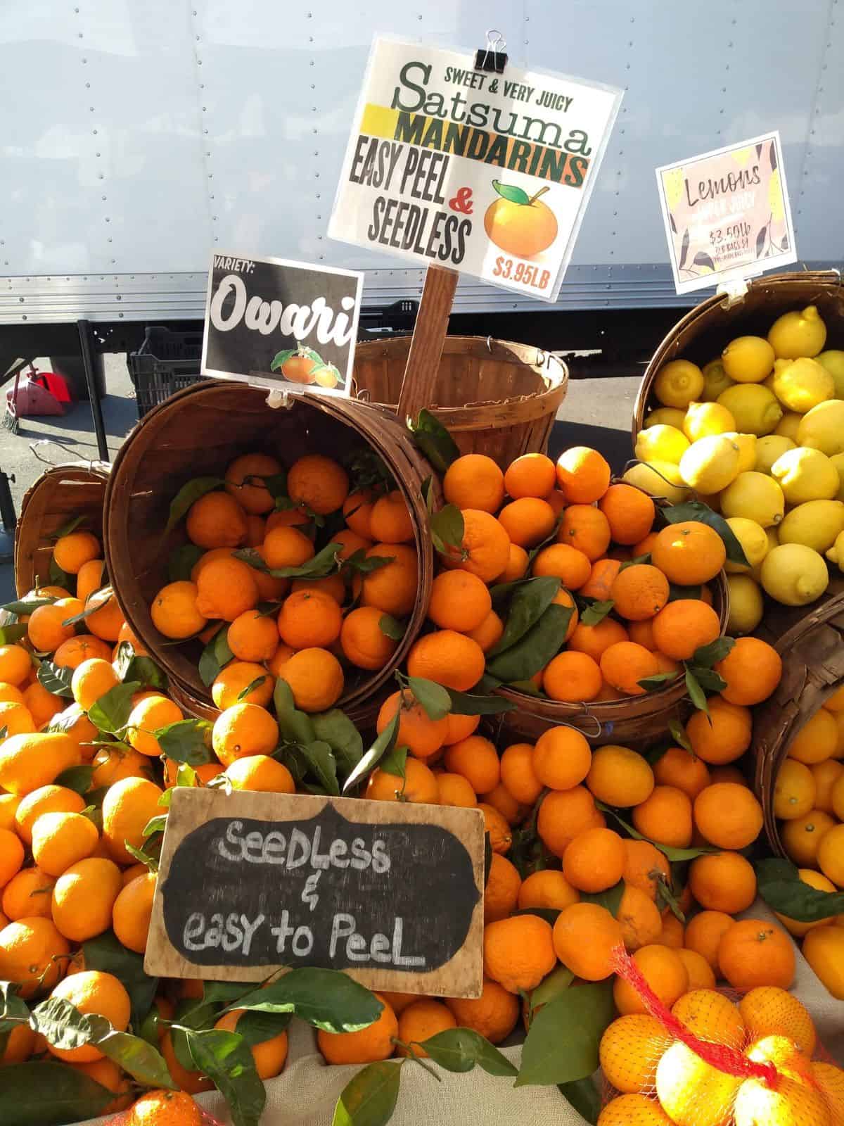 A farmer's market display with baskets of the Owari variety of Satsuma mandarins. 