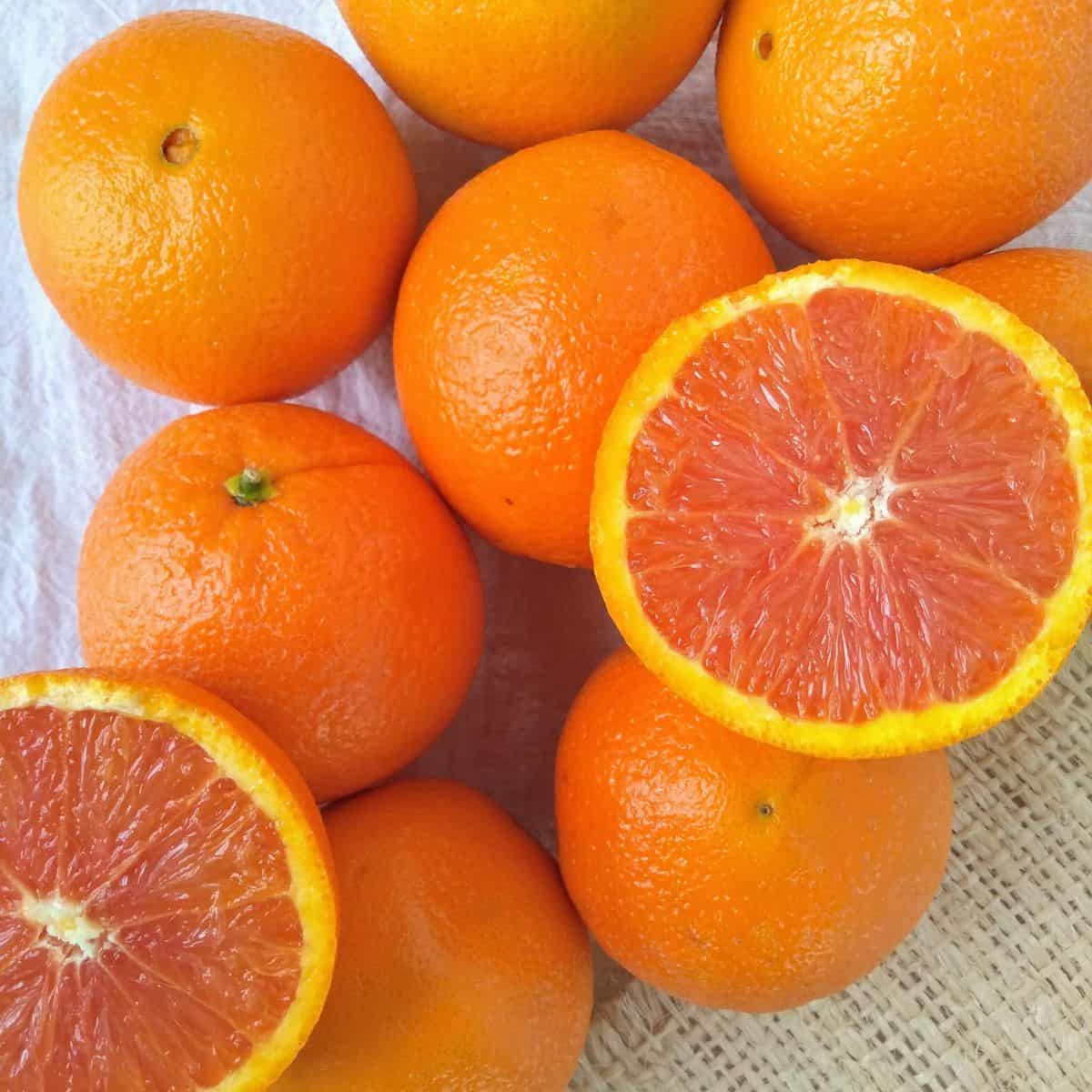 Cara Cara Orange Season 2025 Milka Amabelle